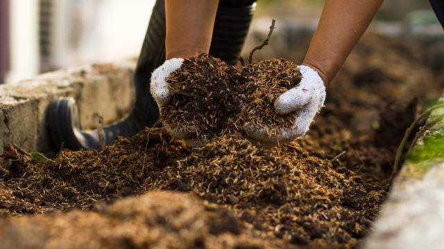 Composting 101 - Harvesting Compost