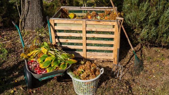 Composting 101 - Composting at Home