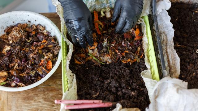 Home Composting - Home Composting - Vermicomposting