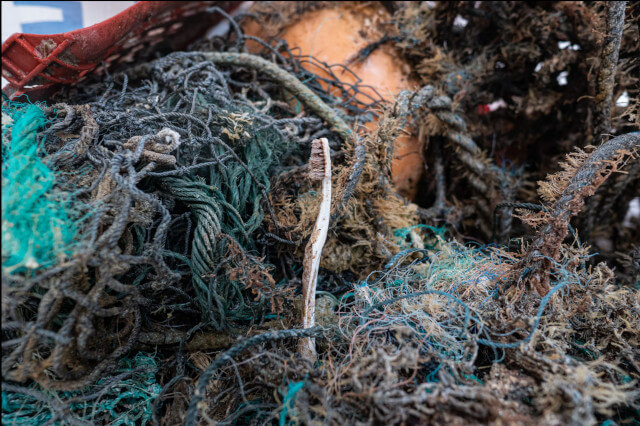 Below the Great Pacific Garbage Patch: More Garbage - Eos