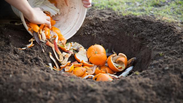 Home Composting - Backyard