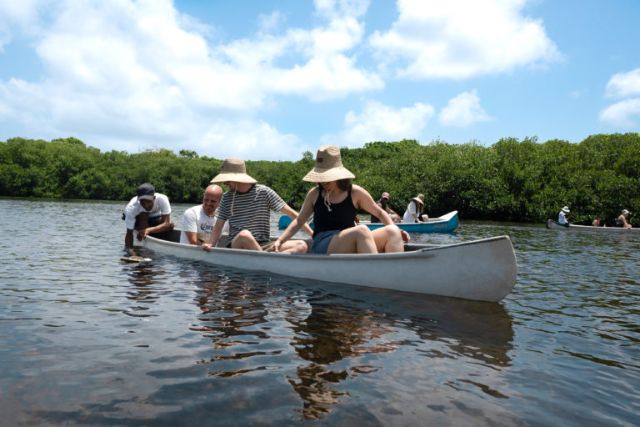 Mangrove planting at Corona Island. Photo: ©oceanic.global