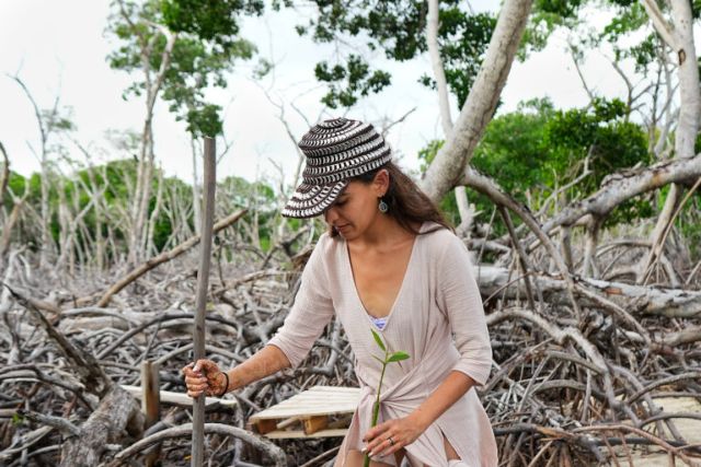 Tree planting at Corona Island. Photo: ©oceanic.global